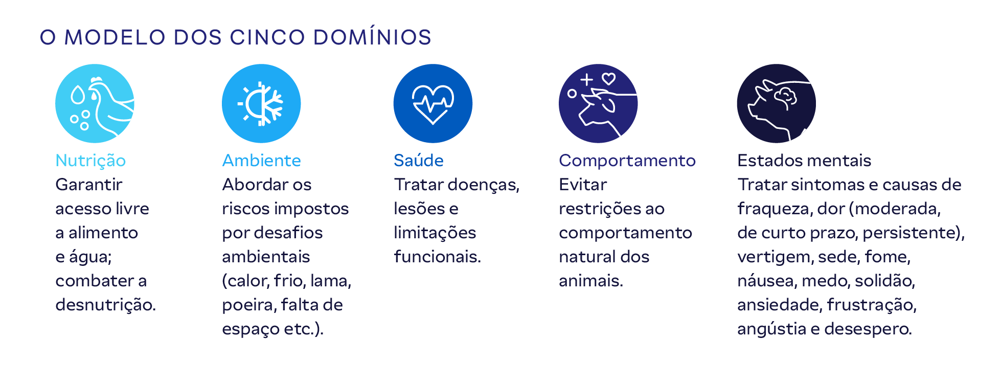 Nossos Animais